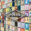 Kép 5/5 - ES4301 Fossil Carlie  női karóra