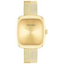 CALVIN KLEIN CK25100099 karóra