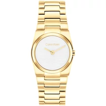 CALVIN KLEIN CK25100122 karóra