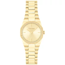 CALVIN KLEIN CK25100142 karóra