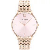 CALVIN KLEIN CK25100170 karóra