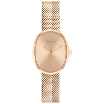 CALVIN KLEIN CK25100175 karóra