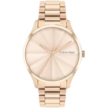 CALVIN KLEIN CK25200231 karóra