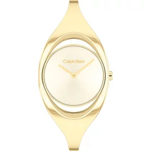 CALVIN KLEIN CK25200391 karóra