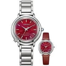 CITIZEN EM1090-78X karóra