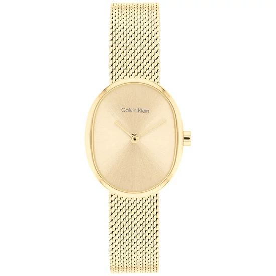 CALVIN KLEIN CK25100174 karóra
