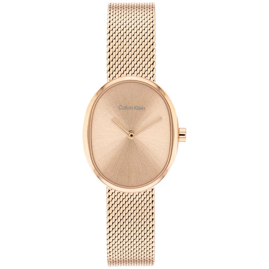 CALVIN KLEIN CK25100175 karóra
