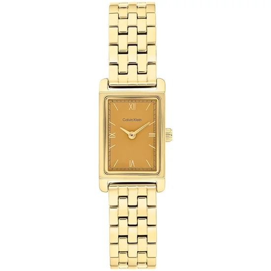 CALVIN KLEIN CK25100198 karóra