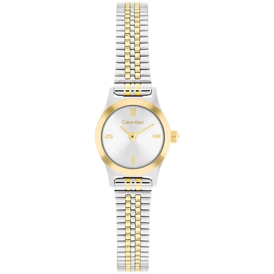 CALVIN KLEIN CK25100207 karóra
