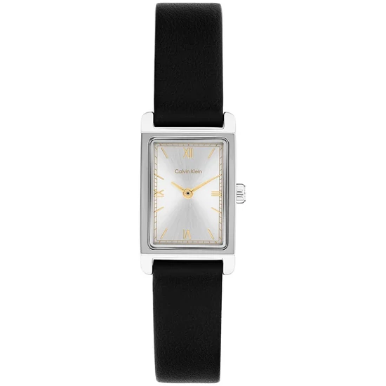 CALVIN KLEIN CK25100208 karóra
