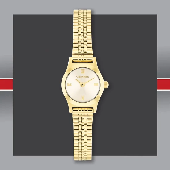 CK25100201 Calvin Klein Ck Contemporary  női karóra